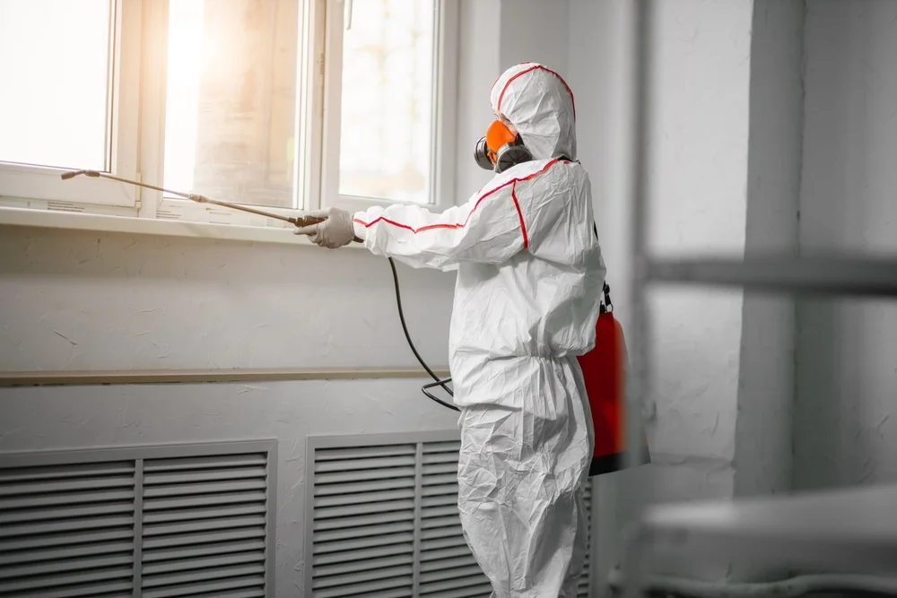 Professional mold remediation services in Karnes City, TX